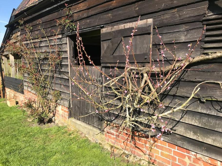 Simpers Drift Villa Saxmundham Exterior photo